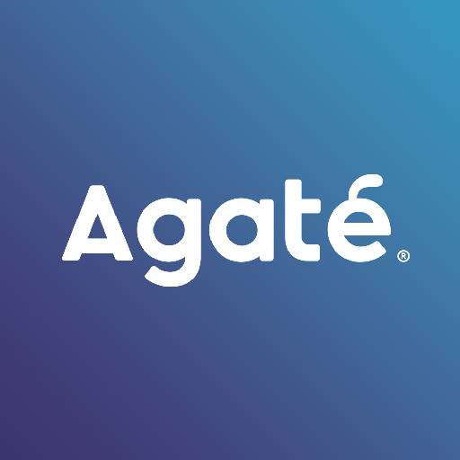 Agate International logo